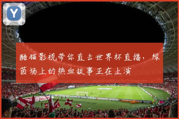 酷猫影视带你直击世界杯直播，绿茵场上的热血故事正在上演