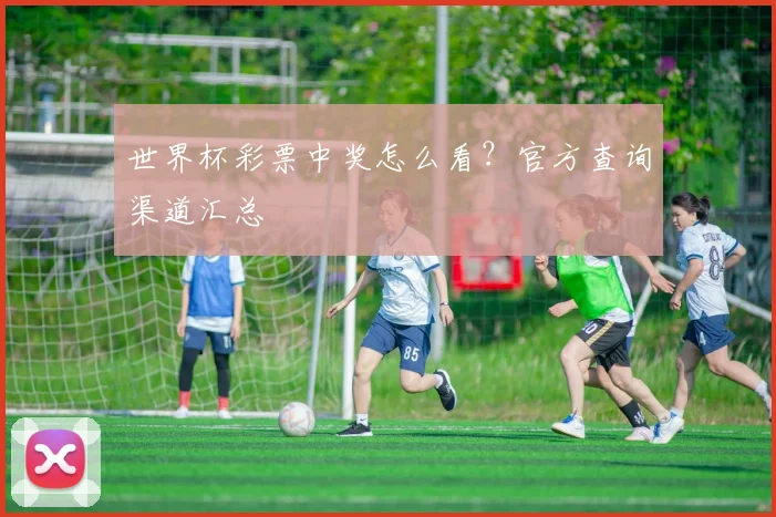 世界杯彩票中奖怎么看？官方查询渠道汇总