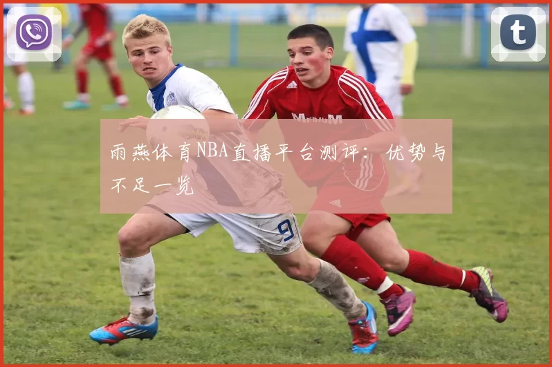 雨燕体育NBA直播平台测评：优势与不足一览