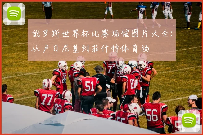 俄罗斯世界杯比赛场馆图片大全:从卢日尼基到菲什特体育场
