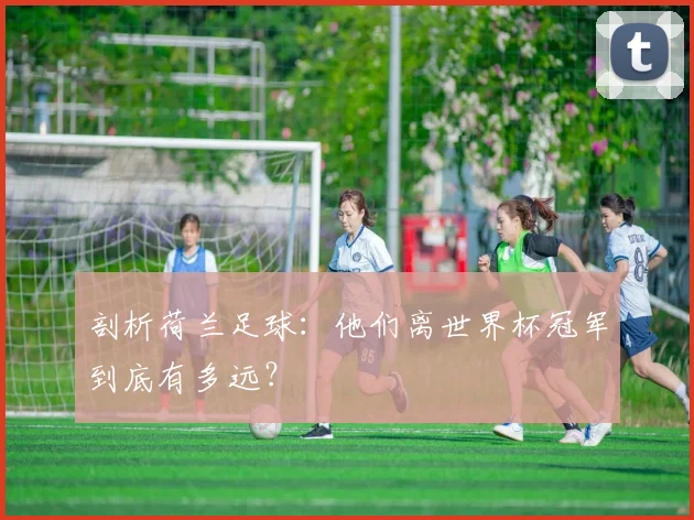 剖析荷兰足球：他们离世界杯冠军到底有多远？