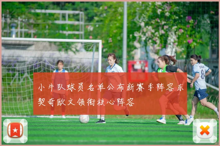 小牛队球员名单公布新赛季阵容东契奇欧文领衔核心阵容