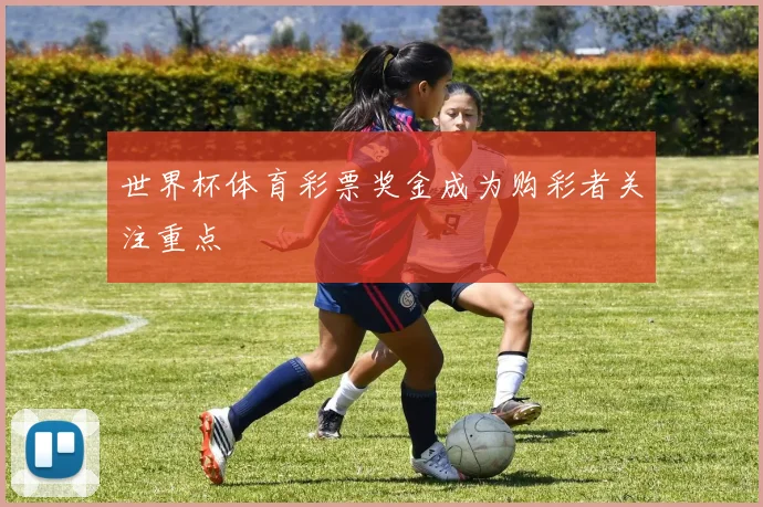 世界杯体育彩票奖金成为购彩者关注重点