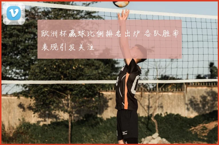 欧洲杯赢球比例排名出炉 各队胜率表现引发关注