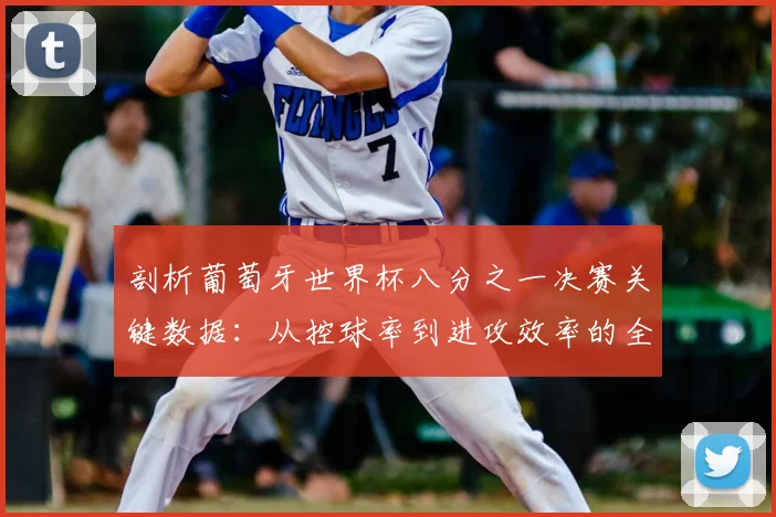 剖析葡萄牙世界杯八分之一决赛关键数据：从控球率到进攻效率的全面复盘
