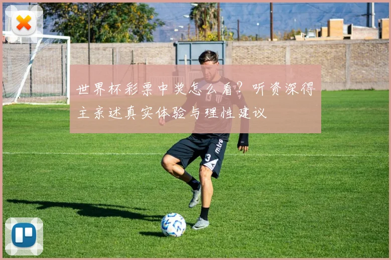世界杯彩票中奖怎么看？听资深得主亲述真实体验与理性建议