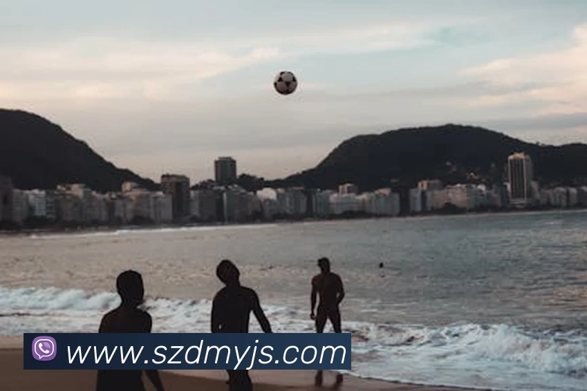 爱游戏体育发展历程