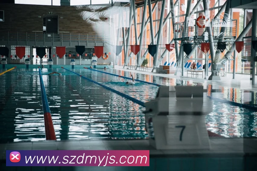 NBA Online2战术解析 火箭湖人模拟对决实战效果与赛季走势